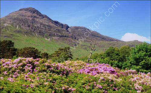 Ben Buie, Isle of Mull.